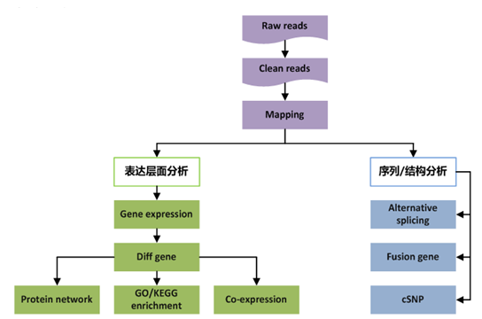 真核轉錄組測序分析流程圖