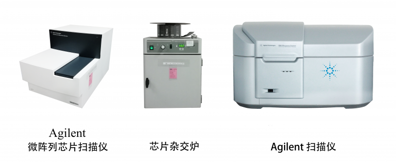 OmniGrid-100-Microarrayer 基因芯片點(diǎn)樣系統(tǒng)