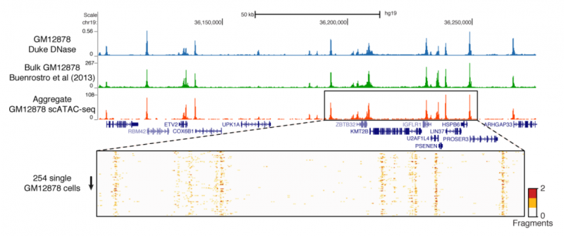 單細胞 ATAC-seq 與常規 ATAC-seq 的一致性圖