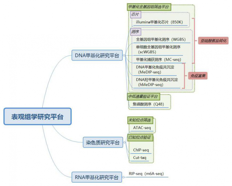  伯豪生物表觀遺傳學研究平臺簡介圖 