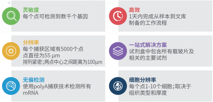 伯豪生物空間轉(zhuǎn)錄組測(cè)序