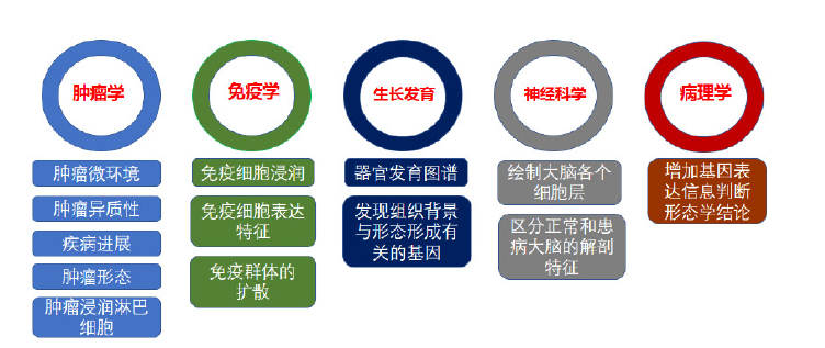 伯豪生物空轉(zhuǎn)測(cè)序
