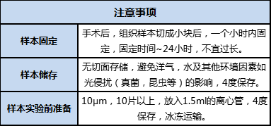 FFPE 樣本準備、儲存及運輸