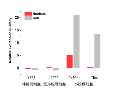 伯豪生物單細胞核轉(zhuǎn)錄組測序數(shù)據(jù)圖 5