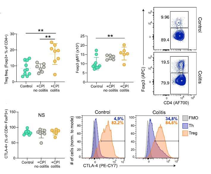 伯豪生物單細胞 RNA 測序