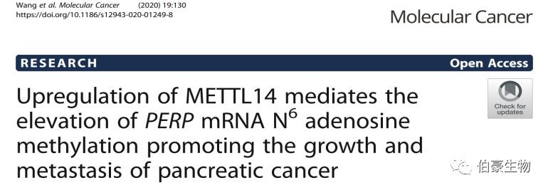 RNA m6a 甲基化測(cè)序 伯豪生物甲基化服務(wù)