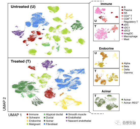 單細胞核測序 scRNA-seq 圖 1