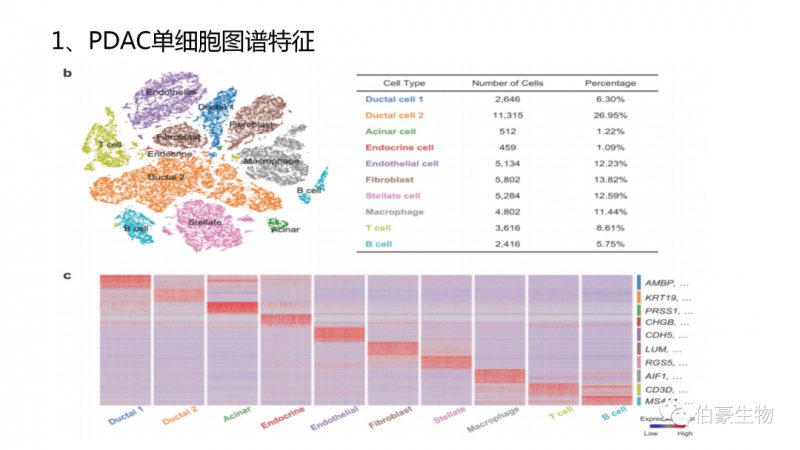  伯豪生物 單細(xì)胞測(cè)序 服務(wù) 