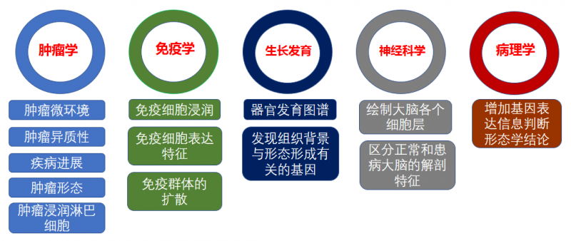 空間轉錄組的應用方向