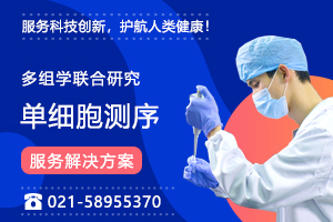 單細胞多組學研究一站式解決方案！