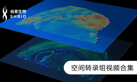 視頻合集 | 空間轉錄組