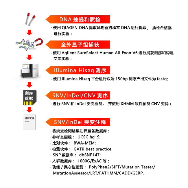 全外顯子組測序實驗流程