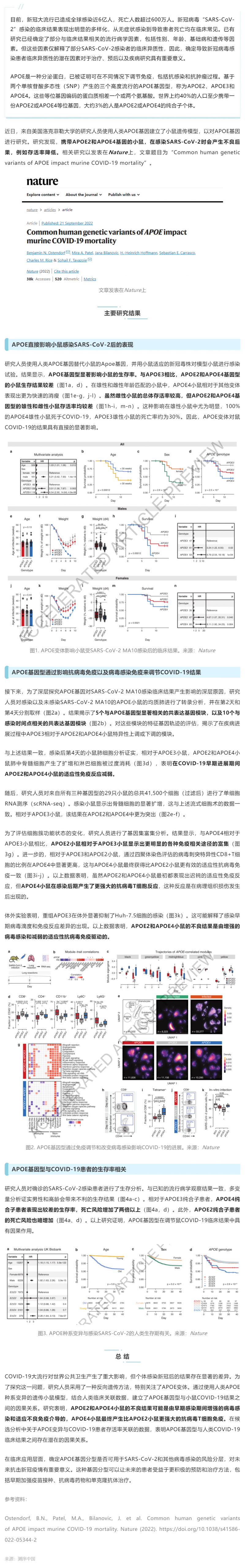 Nature _ 為什么有些人感染新冠后死亡風險高？研究揭示與 APOE 基因型有關