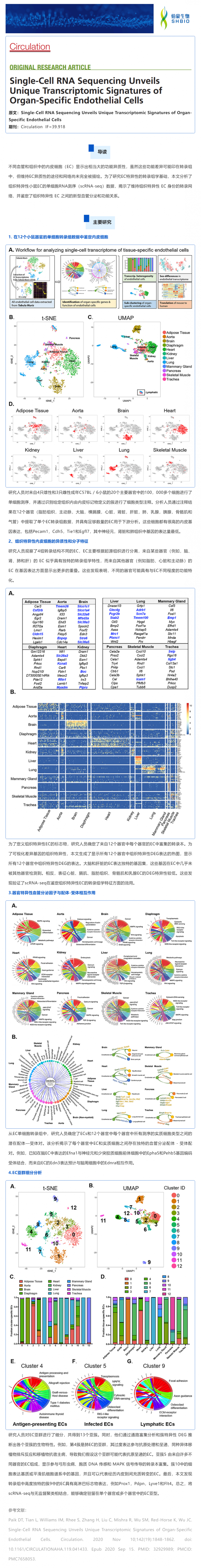 單細胞測序揭示器官特異性內皮細胞的獨特轉錄組學特征