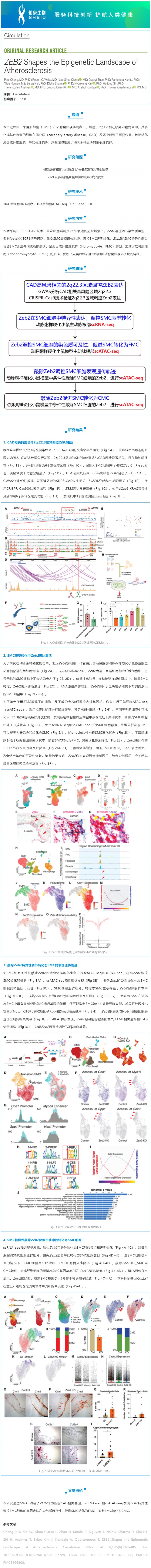 文獻解讀_scRNA-seq 聯合 scATAC-seq 解析 ZEB2 調控動脈粥樣硬化表觀遺傳景觀