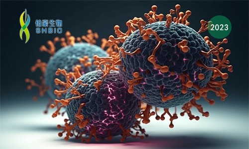 高分文獻一作分享會 | 單細(xì)胞轉(zhuǎn)錄組測序在腫瘤細(xì)胞進入滯育樣狀態(tài)的調(diào)控作用研究
