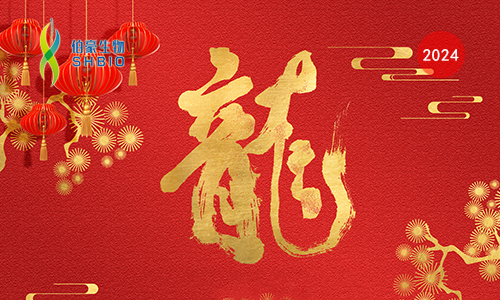 網站封面 - 恢復的龍年