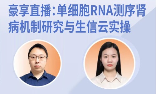 豪享直播 | 單細胞 RNA 測序腎病機制研究與生信云實操