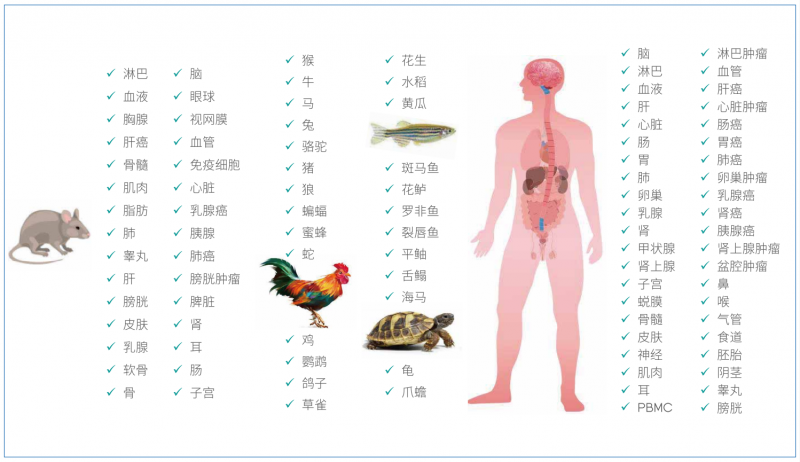  伯豪生物華大設備單細胞測序適用樣本類型 