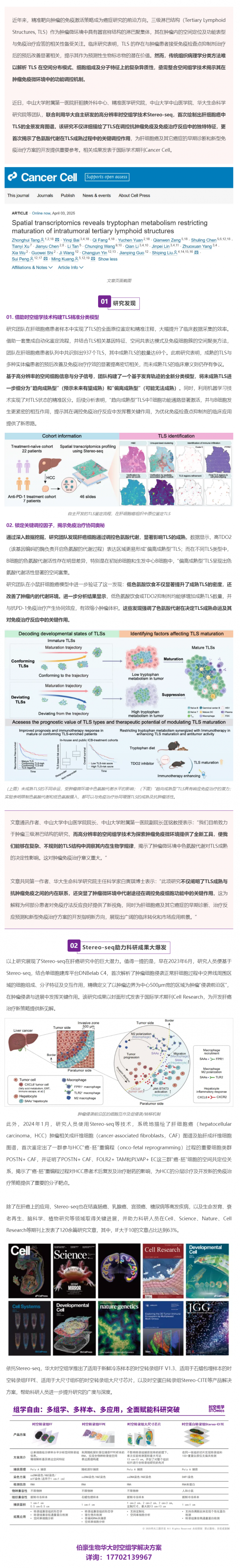 Cancer Cell _ 首個肝細胞癌中 TLS 的全景發育圖譜！Stereo-seq 助力肝癌研究再獲
