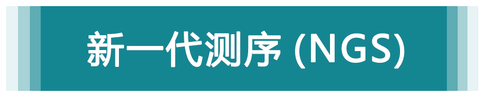 新一代測序（NGS）